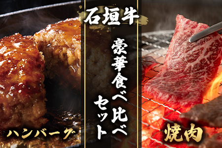 特選石垣牛100%ハンバーグ100g×3個＋特選石垣牛 元卸お任せ 焼肉180g セット（八重山パーツミート）I-17-1