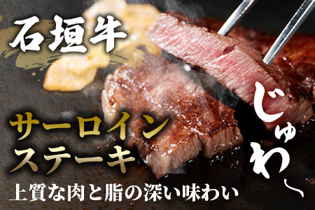 TA-1 石垣牛サーロインステーキ200g×3枚