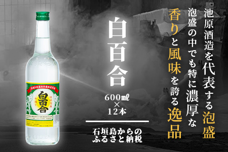 IK-9 池原酒造 白百合 600ml  30度 12本セット