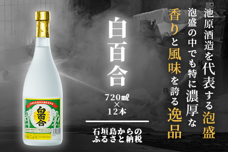 IK-10 池原酒造 白百合 720ml 30度 12本セット