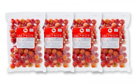 ZH-21 沖縄 石垣島産 《ご家庭用》アセロラ2㎏（冷凍）: 石垣市ANAの