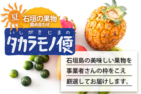 2025年7月中旬～9月上旬順次発送予定》石垣島の夏「果物」詰め合わせ～夏のタカラモノ果物便～【 産地直送 沖縄 石垣 石垣島 くだもの トロピカルフルーツ  果物 南国 フルーツ 詰め合わせ フルーツ便 】SH-5: 石垣市ANAのふるさと納税