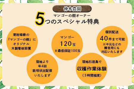 【限定1名様】「マンゴーの樹」収穫オーナー 権利(1年間)【マンゴー 120玉(目標値)「100玉最低保証」】KB-25