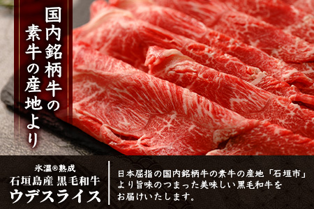 【氷温熟成】石垣島産 黒毛和牛 ウデスライス 500g×2【合計1kg】お肉 肉 牛肉 冷凍 すきやき すき焼き 牛丼 和牛 しゃぶしゃぶ 赤身 八重山食肉センター うで ウデ