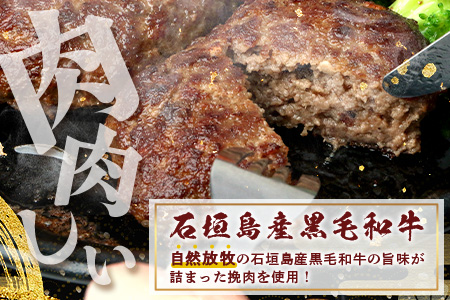石垣島産　黒毛和牛 生ハンバーグ　120g x 10個 UN-2