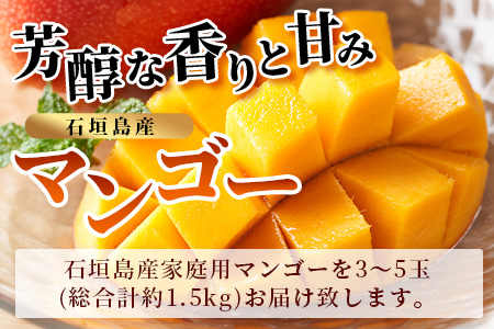 【予約受付】 石垣島産 マンゴー 家庭用（良品）（アーウィン種）3玉～5玉入り1箱（1.5kg×1箱）合計約1.5kg《2025年6月中旬より順次発送》AE-11