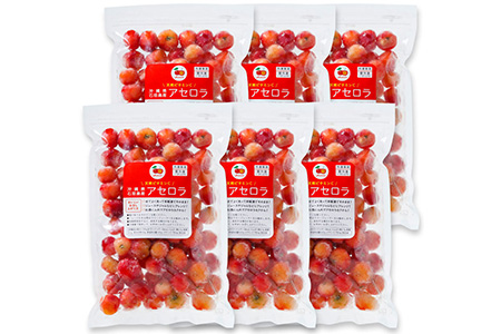 ZH-20 沖縄 石垣島産 《ご家庭用》アセロラ3㎏（冷凍）