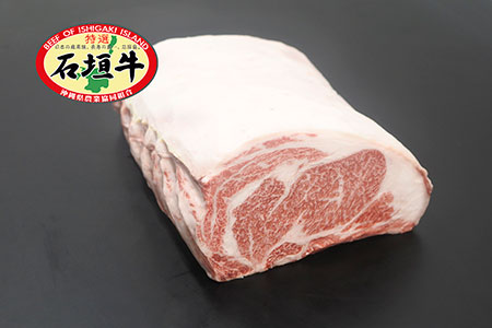 JA石垣牛サーロイン原木ハーフ　I-20