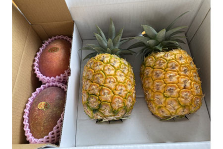 IF-7 マンゴー(アーウィン)・パインセット