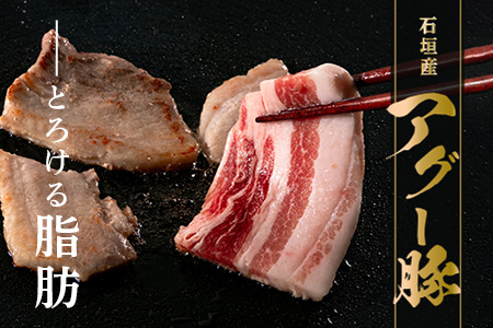 石垣島産 やえやまファームのアグ―豚（南ぬ豚）焼肉セット600g E-23