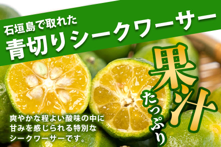 【先行予約】 ≪2026年8月以降順次発送≫こだわりの青切りシークワーサー 2kg 約60～80個 【 産地直送 沖縄 石垣島 石垣 八重山 シークワーサー 柑橘 フルーツ くだもの 果物 】TF-008 2kg 約60～80個
