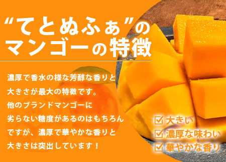 《2024年6月下旬～7月末発送》【先行予約】島の美味しい詰め込んだよくばりセット！ TF-9