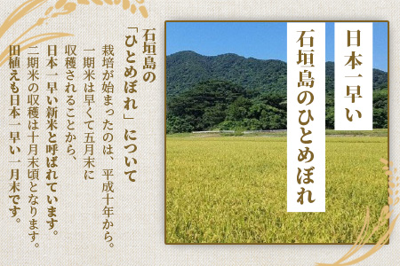 新米 石垣島のひとめぼれ 10kg AE-4-1
