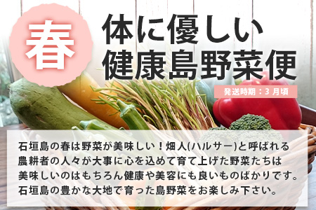 【4回/年定期配送 石垣島のタカラモノ便】 SH-3 春夏秋冬のお楽しみ(野菜 鮮魚 フルーツ 肉 牛肉 豚肉 加工 品 八重山そば かまぼこ マグロ 果物 パイン マンゴー 頒布会 セット 贈答 4ヵ月)