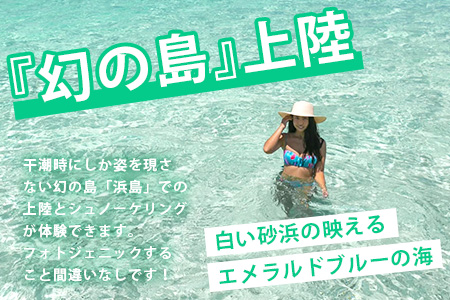 石垣島の自然を満喫！石垣島1日アクティビティ (利用券 1名様分) NS-2