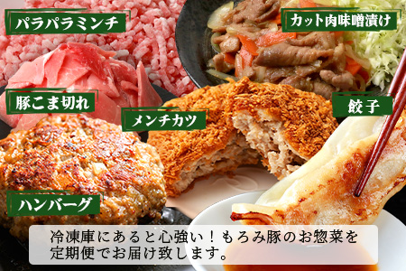定期便 12回配送 もろみ豚 バラエティ定期便 沖縄 石垣 12ヵ月 小間切れ 切り落とし ミンチ ハンバーグ メンチカツ 餃子 豚肉 肉 惣菜 AH-23-1
