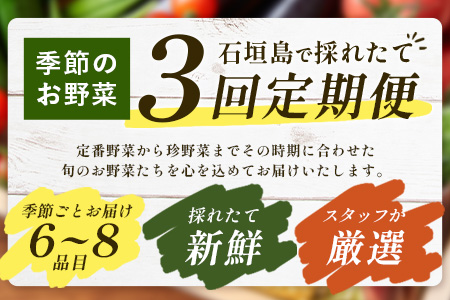 ▼【３回定期便】石垣島産 野菜 BOX ≪定番・旬の野菜 ６~８種類≫（1箱×3回）季節ごとに野菜パワーをあなたに！！｜野菜セット おまかせセット 旬 季節のお野菜 旬の野菜セット 詰め合わせ 定期便 ３回 定番野菜 島野菜 沖縄県 石垣市 石垣島 石垣 CK-2 【３回定期便】