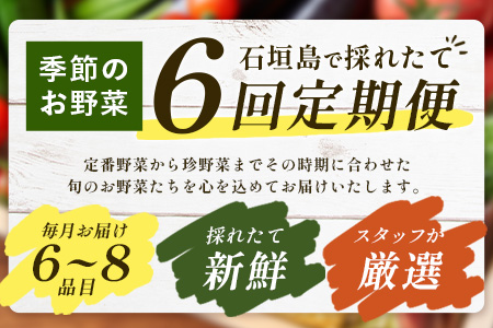 ▼【６回定期便】石垣島産 野菜BOX ≪定番・旬の野菜 ６~８種類≫（1箱×6回）季節の野菜パワーをあなたに！！｜野菜セット おまかせセット 旬 季節のお野菜 旬の野菜セット 詰め合わせ 定期便 ６回 定番野菜 島野菜 沖縄県 石垣市 石垣島 石垣 CK-3 【６回定期便】