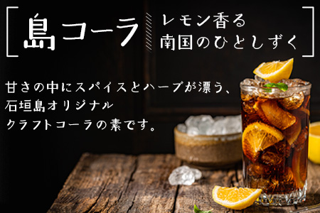 島コーラ BIGサイズ　CS-3