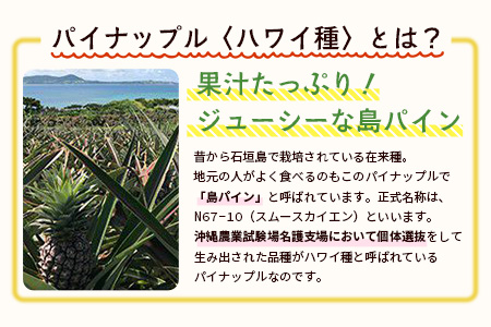 【予約受付】石垣島産 有機パイナップル・ハワイ種 3玉（約2.8kg前後)〈常温〉《7月上旬～順次発送予定》｜パイナップル パインアップル 石垣島パイン フルーツ 果物 くだもの 南国フルーツ 国産パイン　E-39