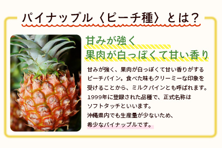 【予約受付】石垣島産　有機パイナップル・ピーチ種 3玉（約2.4kg前後）〈常温〉《６月上旬～順次発送予定》｜パイナップル パインアップル 石垣島パイン フルーツ 果物 くだもの 南国フルーツ 国産パイン　E-40