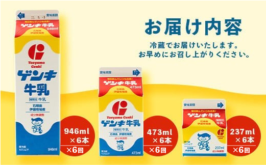 【ふるさと納税限定】【定期便_6回】ゲンキ牛乳バリューセット【八重山ゲンキ乳業】【日本最南端の乳業】【伊盛牧場産 生乳100％使用】GN-3_6t