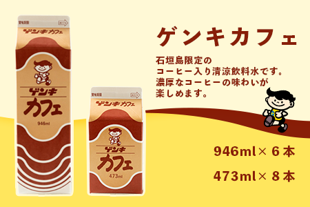 【ふるさと納税限定】ゲンキカフェバリューセット【八重山ゲンキ乳業】【日本最南端の乳業】【伊盛牧場産 生乳100％使用】GN-005