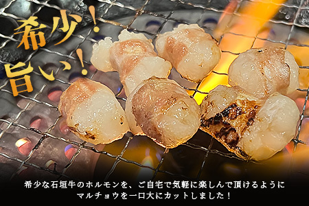 希少な特選石垣牛のホルモンをご家庭で！！マルチョウ300g×2パック【 沖縄 石垣 和牛 石垣牛 希少 特選 肉 ホルモン マルチョウ 冷凍 小分け 】IM-12