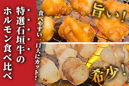 希少な特選石垣牛のホルモンをご家庭で！！マルチョウ300g×2パック 秘伝の味噌味とプレーンの食べ比べセット【 沖縄 石垣 和牛 石垣牛 希少 特選 肉 味噌 みそ 味付 ホルモン マルチョウ 冷凍 小分け 】IM-18