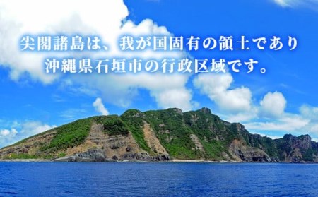 【返礼品なし】石垣市の宝「尖閣諸島」資料収集及び情報発信等事業 の為の寄附(2000円)