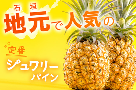 【先行予約】ジュワリーパイン1ｋｇ（1～2玉）お勧め♪川平パイン《2026年7月～8月頃順次発送》KN-1