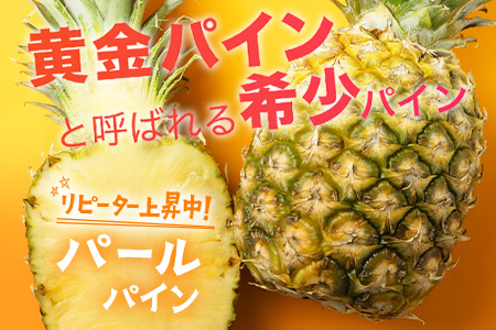 【先行予約】パールパイン1ｋｇ（1～2玉）お勧め♪川平パイン《2026年7月～8月頃順次発送》KN-2