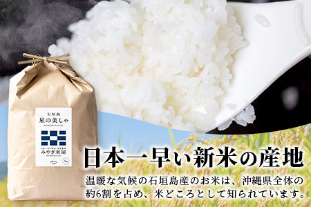 石垣島産 星の美しゃ（ほしのかいしゃ）20kg（5kg×4袋）MK-5-1