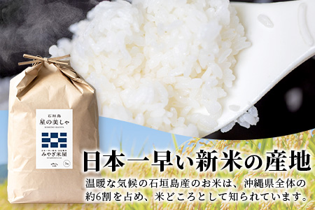 3カ月連続お届け 令和５年産 石垣島産 星の美しゃ（ほしのかいしゃ）15kg（5kg×3回）MK-6-1