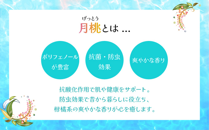 幸－美彩－さちちゅらいろ 島の日焼け止め（30g）OA-03