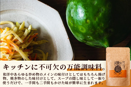 チャンプルの素　60g　袋入×2袋【 沖縄県 石垣市 石垣島 調味料 万能 石垣島産 】PN-5
