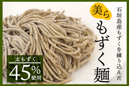 石垣島産　美らもずく麺（生麺2人前）&塩もずく（石垣島産太もずく）　RR-1