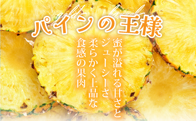 【先行予約】《2025年夏季 順次発送》ゴールドバレルパイン 大玉3個入り 計5.1kg　SI-40