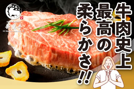 石垣島産 黒毛和牛 新里牛 厚切りヒレステーキ（訳あり・形がふぞろい・不定貫）（200g～250g×2）合計400g以上 ステーキ 焼肉 バーベキュー SZ-30