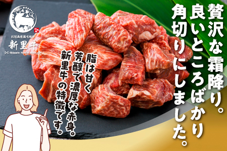石垣島産 黒毛和牛 新里牛 多用途抜群！煮込み用贅沢角切り（500g×1） 500g カレー シチュー SZ-45