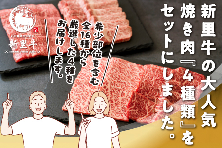 石垣島産 黒毛和牛 新里牛 ご褒美焼き肉4種食べ比べ 特上カルビ・上カルビ・特上赤身・上赤身 合計800g SZ-72