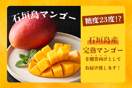 《2025年6月下旬～7月下旬発送》【先行予約】最高糖度20度！？ 完熟の極！3Lサイズ 石垣島マンゴー 1玉入り約400g【贈答向け】【 産地直送 完熟マンゴー アーウィン マンゴー 沖縄 八重山 石垣島産 】TF-11-1