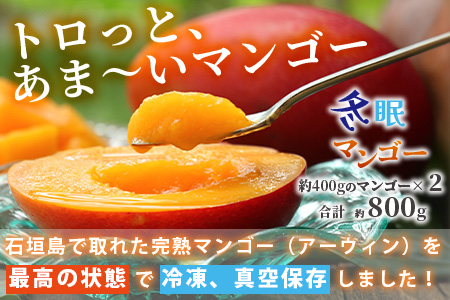 《2025年7月以降発送》最高糖度20度！？ 完熟！3Lサイズ 石垣島産冬眠マンゴー TF-17-1_R8