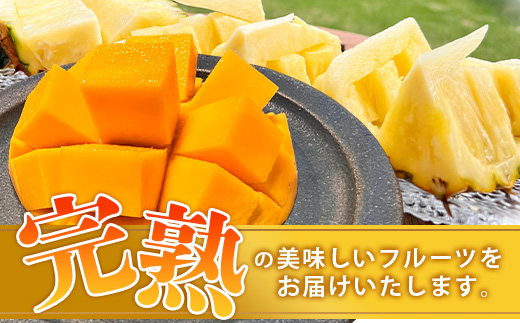 《2026年6月中旬以降発送》島の美味しいを詰め込んだ、パイン＆マンゴーのよくばりセット！【 沖縄県 石垣市 石垣島 完熟 パイン パイナップル スナック マンゴー セット 詰め合わせ 産地直送 】TF-24_R8