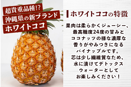 【マツコの知らない世界で絶賛！】《2025年5月以降順次発送》[先行予約] 最高糖度20度！？ 完熟の極 石垣島産幻のパイナップル ホワイトココ2個セット【 沖縄 石垣島 石垣 八重山 パイン パイナップル 期間限定 数量限定 TV テレビ 紹介 マツコ 】TF-2_R7