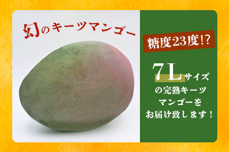 《2025年7月下旬～8月下旬発送》【先行予約】最高糖度23度！？ 完熟！7Lサイズ 幻のキーツマンゴー【 沖縄 石垣島 石垣 八重山 マンゴーキーツマンゴー 期間限定 数量限定 沖縄県 石垣島産 完熟 】TF-3-1