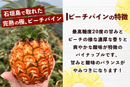 【マツコの知らない世界で絶賛！】《2026年4月～7月順次発送》【先行予約】パイナップル好きにおすすめ！満足のパイナップル3品種定期便【 沖縄 石垣 ピーチ ホワイトココ ジュワリー パイン パイナップル 完熟 セット フルーツ デザート 食べ比べ 定期便 TV テレビ 紹介 マツコ 】 TF-36_R8