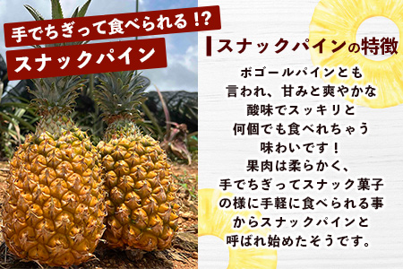 【マツコの知らない世界で絶賛！】《2026年4月～7月順次発送》【先行予約】パイナップル好きにおすすめ！満足のパイナップル4品種定期便【 沖縄 石垣 ピーチ ホワイトココ ジュワリー スナック パイン パイナップル 完熟 セット フルーツ デザート 食べ比べ 定期便  TV テレビ 紹介 マツコ】 TF-37_R8
