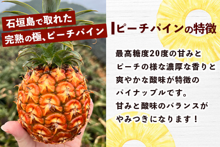 《2026年5月～7月順次発送》【先行予約】島のおいしいを贅沢に！パイナップル2種とマンゴー1種のよくばり定期便【 沖縄 石垣 ピーチ マンゴー パイン パイナップル 完熟 セット フルーツ デザート 食べ比べ 定期便 】 TF-38_R8