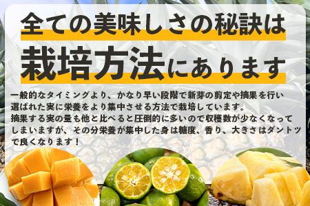  【マツコの知らない世界で絶賛！】《2025年4月以降発送》【先行予約】島のおいしいを贅沢に！大満足のパイナップル4種とマンゴー2種、シークワーサーの定期便【 沖縄 石垣 ピーチ ホワイトココ キーツ マンゴー パイン パイナップル シークワーサー 完熟 セット フルーツ デザート 食べ比べ 定期便 TV テレビ 紹介 マツコ 】 TF-40